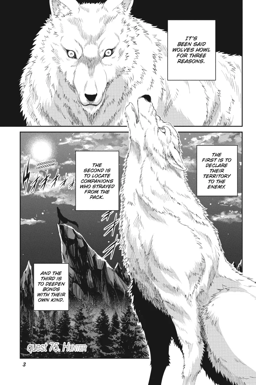 Is It Wrong to Try to Pick Up Girls in a Dungeon? On the Side: Sword Oratoria (Official) - Chapter 75 - Page 4