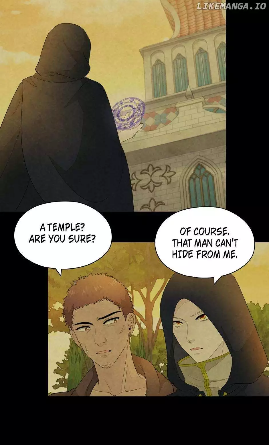 The Wizard and The Tree - Chapter 19 - Page 13