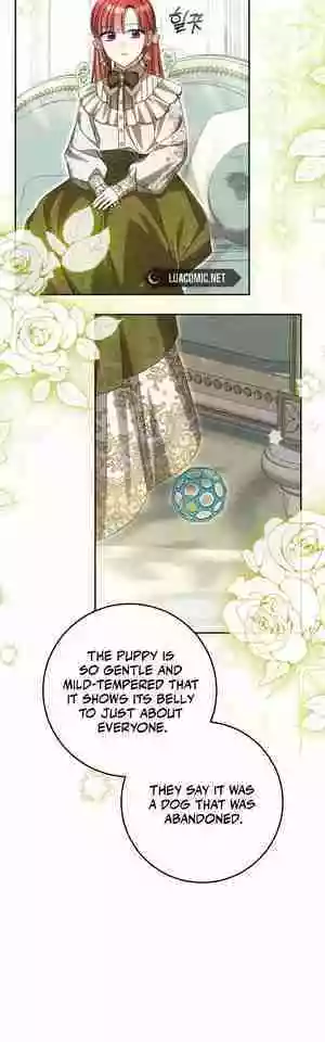 There is No Such Thing as a Bad Golden Child in The World - Chapter 17 - Page 5